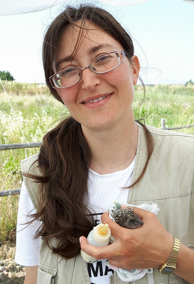 Silvia Ghignoli